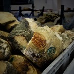 Parmigiano della Latteria Sociale Lora colpita dal terremoto in emilia